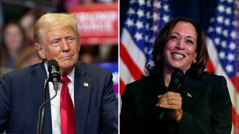 Allies urge Trump to minimize DEI attacks, focus on Harris’ ‘terrible’ record: ‘Wrong hole to go down’