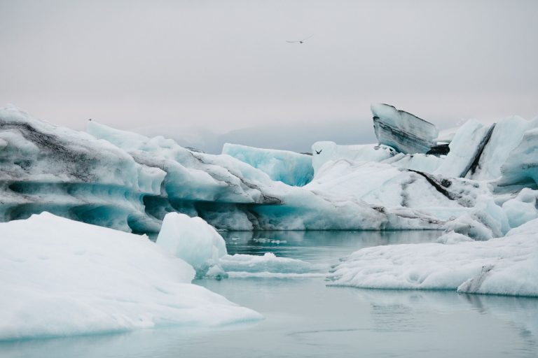 EU climate agency predicts 2024 will be the world’s warmest year on record