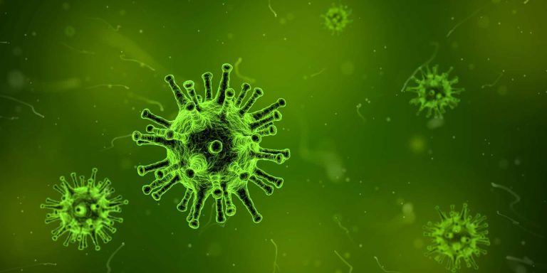 Covid-like HMPV virus spreads across Asia: what you need to know